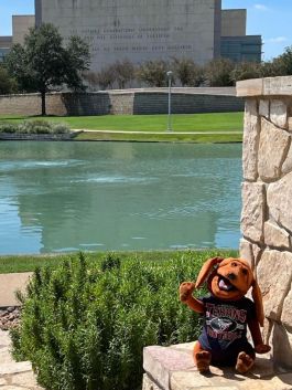 DAISY going outdoors