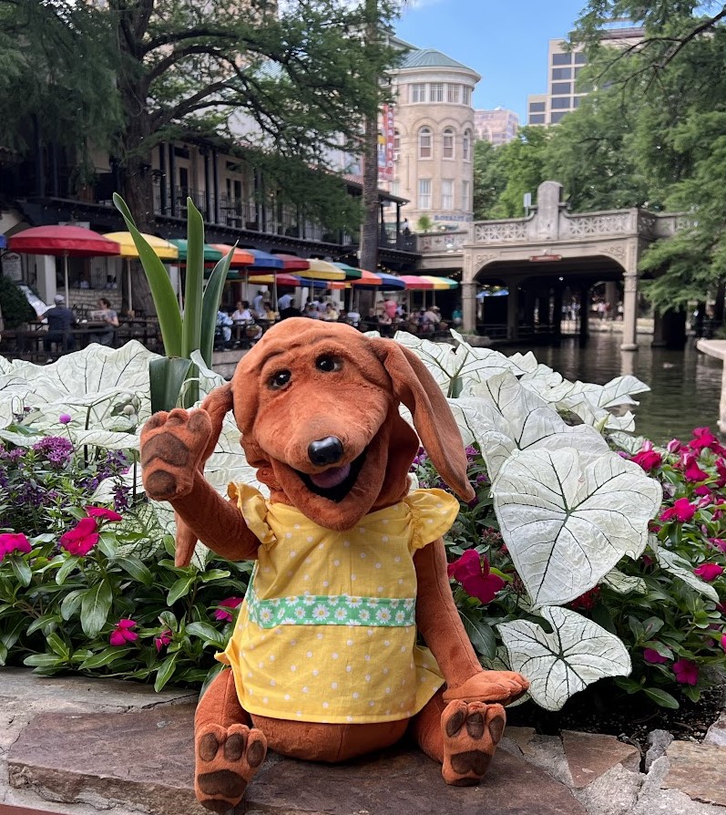 DAISY in San Antonio Texas