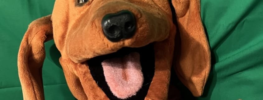 DAISY September Newsletter